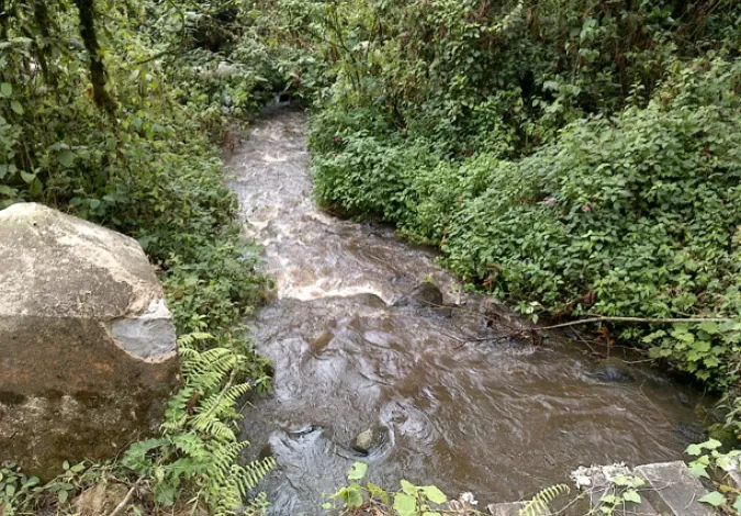rivière bukavu